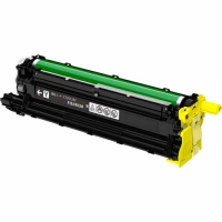 hJ[gbW CG[ [CT351397]