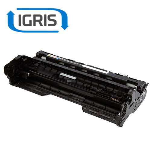 IGRIS ���T�C�N���X�g�b�N �h�������j�b�g P 6000 �iRICOH�j